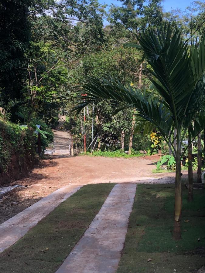 Casa Encantada Offers You Two-Bedroom House, 1 Tiny Apartment & 3 Double Rooms Manuel Antonio Zewnętrze zdjęcie