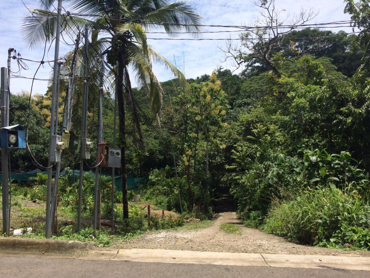 Casa Encantada Offers You Two-Bedroom House, 1 Tiny Apartment & 3 Double Rooms Manuel Antonio Zewnętrze zdjęcie